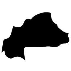 carte Burkina faso